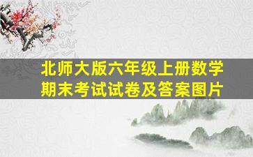 北师大版六年级上册数学期末考试试卷及答案图片