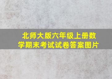 北师大版六年级上册数学期末考试试卷答案图片