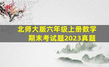 北师大版六年级上册数学期末考试题2023真题