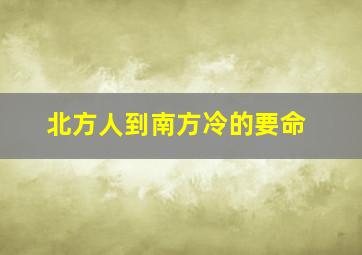 北方人到南方冷的要命