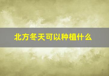 北方冬天可以种植什么