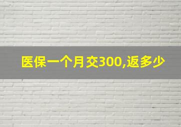 医保一个月交300,返多少