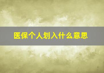 医保个人划入什么意思