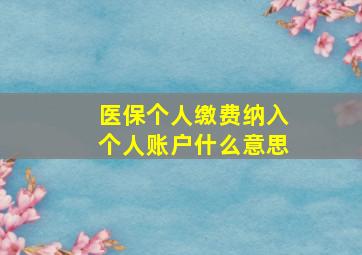 医保个人缴费纳入个人账户什么意思