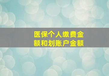 医保个人缴费金额和划账户金额