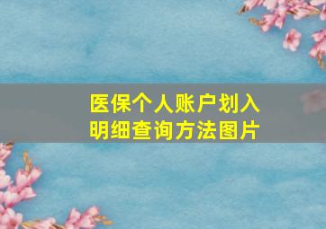 医保个人账户划入明细查询方法图片