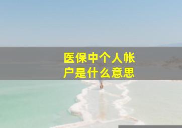 医保中个人帐户是什么意思