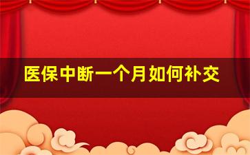 医保中断一个月如何补交