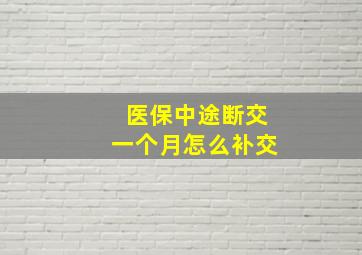 医保中途断交一个月怎么补交