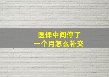 医保中间停了一个月怎么补交