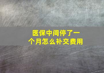 医保中间停了一个月怎么补交费用