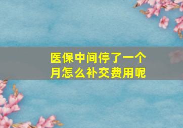 医保中间停了一个月怎么补交费用呢