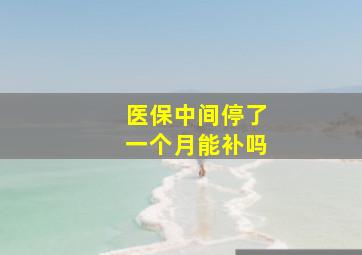 医保中间停了一个月能补吗