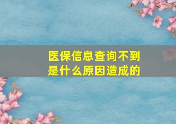 医保信息查询不到是什么原因造成的