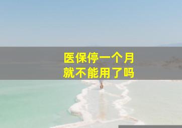 医保停一个月就不能用了吗