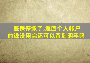 医保停缴了,返回个人帐户的钱没用完还可以留到明年吗