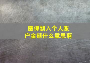 医保划入个人账户金额什么意思啊