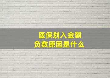 医保划入金额负数原因是什么