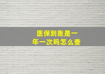 医保到账是一年一次吗怎么查