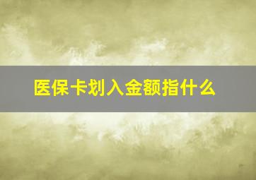 医保卡划入金额指什么