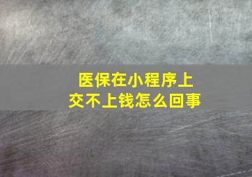 医保在小程序上交不上钱怎么回事