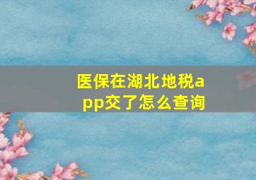 医保在湖北地税app交了怎么查询