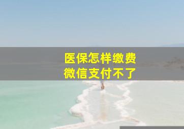 医保怎样缴费微信支付不了