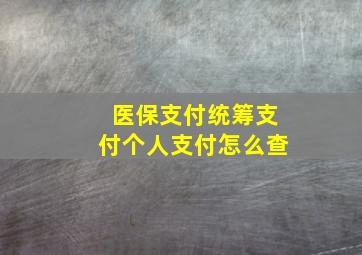 医保支付统筹支付个人支付怎么查