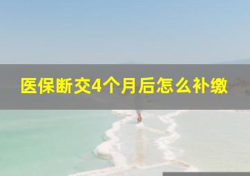 医保断交4个月后怎么补缴