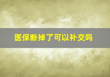 医保断掉了可以补交吗