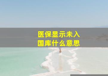 医保显示未入国库什么意思