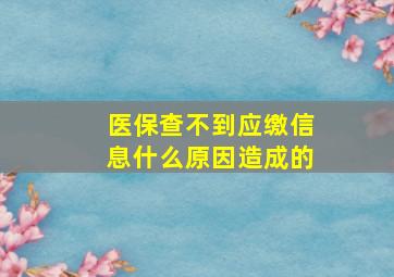 医保查不到应缴信息什么原因造成的