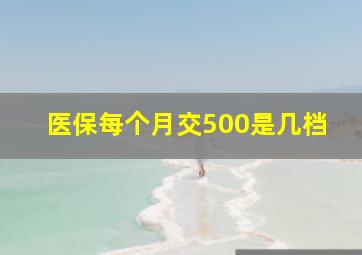 医保每个月交500是几档