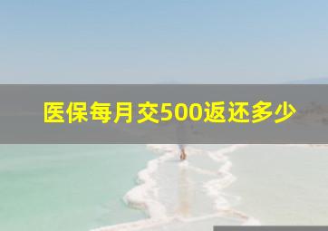 医保每月交500返还多少