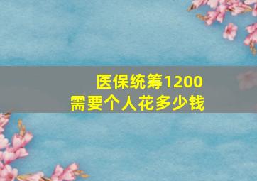 医保统筹1200需要个人花多少钱