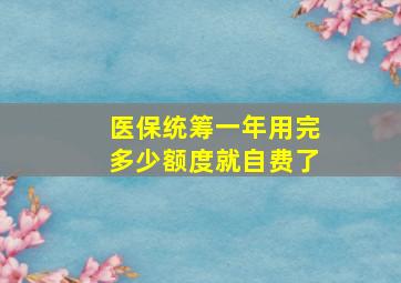 医保统筹一年用完多少额度就自费了