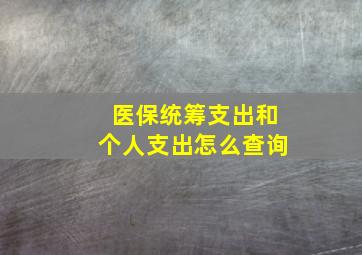 医保统筹支出和个人支出怎么查询