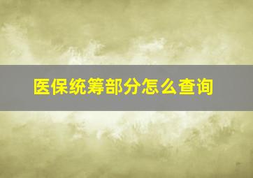 医保统筹部分怎么查询