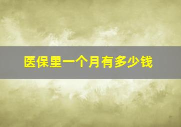 医保里一个月有多少钱