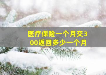 医疗保险一个月交300返回多少一个月