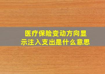 医疗保险变动方向显示注入支出是什么意思