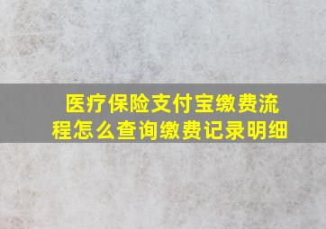 医疗保险支付宝缴费流程怎么查询缴费记录明细