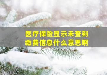 医疗保险显示未查到缴费信息什么意思啊