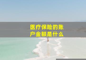 医疗保险的账户金额是什么