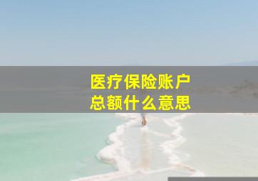 医疗保险账户总额什么意思