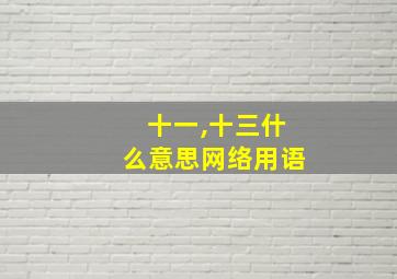 十一,十三什么意思网络用语