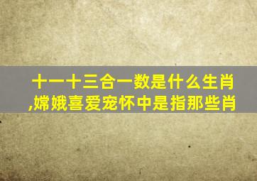 十一十三合一数是什么生肖,嫦娥喜爱宠怀中是指那些肖