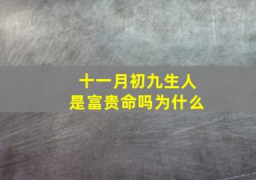 十一月初九生人是富贵命吗为什么