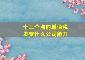 十三个点的增值税发票什么公司能开