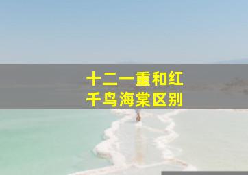 十二一重和红千鸟海棠区别